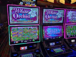 Tutorial deposit di raksasa togel menggunakan GoPay, QRIS, dan rekening virtual Tutorial deposit di raksasa togel menggunakan GoPay, QRIS, dan rekening virtual